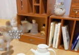af953d70aaf5342acaa6b4db71be8f2a.jpg