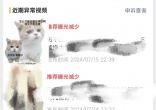 bec71bb8c6105e75a8666f4346c7b4f3.jpg