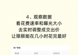 3592eebc3c985c67c9ee107b13187dd0.jpg