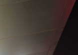 1000007731.jpg