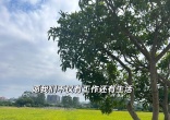 f7b9d1ac884040418cf6cb6f9f979dda.jpg