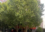 b2bfd258adab5ee0ea5101be7bc54618.jpg
