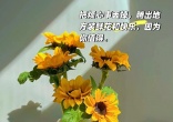 ab54f77b3e9e829ced436827b6ac53c6.jpg